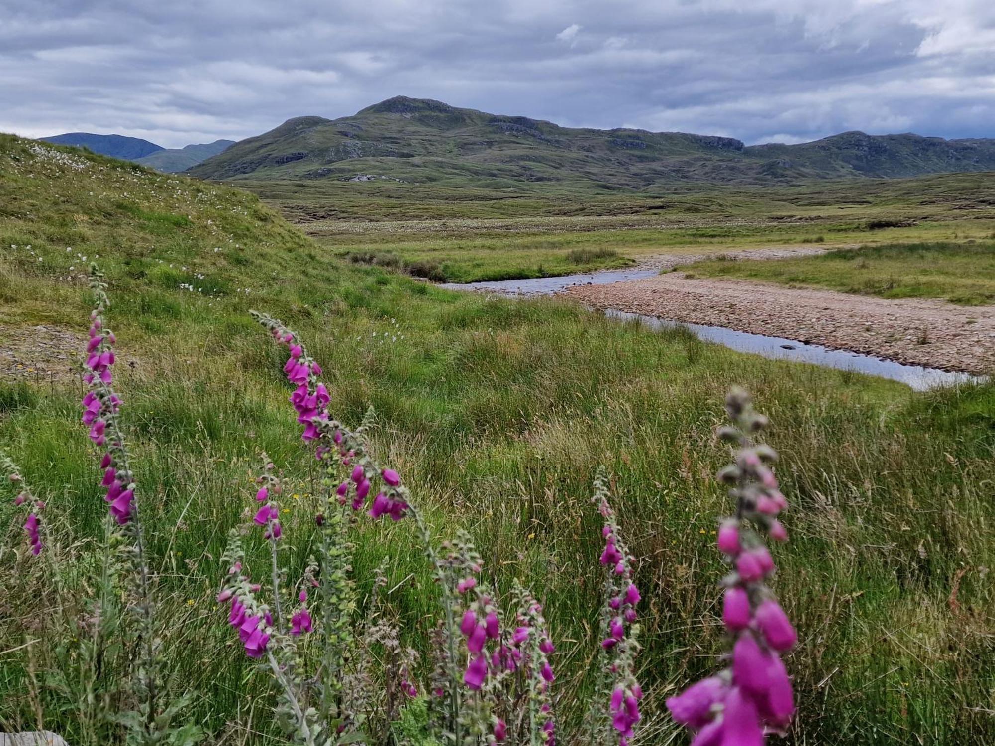 Gorse Gorgeous Glamping Hideaway Lägenhet Dundonnell Exteriör bild